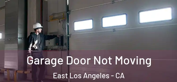  Garage Door Not Moving East Los Angeles - CA