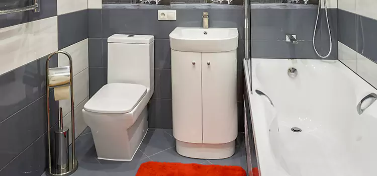 Hansgrohe Shaving Mirror East Los Angeles